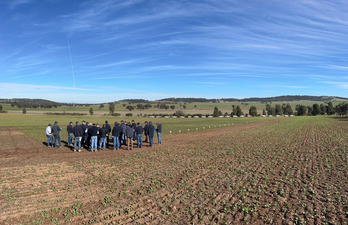 The Southern NSW Agronomy team spent the day looking at our internal pre-em and canola variety trials with our R&amp;D and Trial Manager Gabe Brown. 

A great roll out from the team accompanied by valuable discussions and insights ready to pass onto our growers. 

#DeltaAg