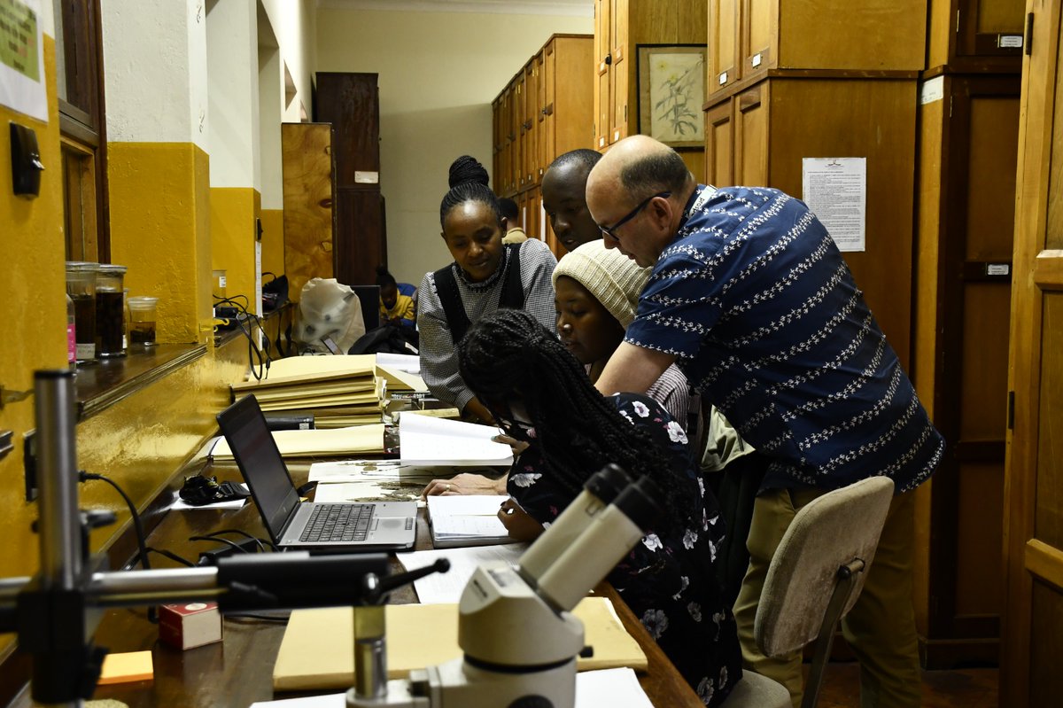 The East African Herbarium (EA) (@eaherbarium_nmk) on Twitter photo The plant #taxonomy course for #conservation for 16 early/mid career scientists from 8 #African countries comes to a close today in #Nairobi after 5 weeks of intensive training lead by @KewAfrica team in collaboration with <a href="/museumsofkenya/">National Museums of Kenya</a>, <a href="/EAHerbarium_NMK/">The East African Herbarium (EA)</a> & <a href="/uonbi/">University of Nairobi</a>. 📸 NMK Media The plant #taxonomy course for #conservation for 16 early/mid career scientists from 8 #African countries comes to a close today in #Nairobi after 5 weeks of intensive training lead by @KewAfrica team in collaboration with <a href="/museumsofkenya/">National Museums of Kenya</a>, <a href="/EAHerbarium_NMK/">The East African Herbarium (EA)</a> & <a href="/uonbi/">University of Nairobi</a>. 📸 NMK Media