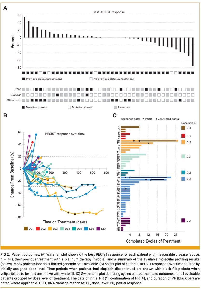 medoncodoc's tweet image. 🧬 Phase I Trial: Cisplatin + Berzosertib + Veliparib for DDR Disruption
📌 Objective:
To potentiate cisplatin’s effect by inducing a BRCA-null–like DNA damage response (DDR) phenotype using berzosertib (ATR inhibitor) and veliparib (PARP inhibitor).
👥 Design & Regimen:…