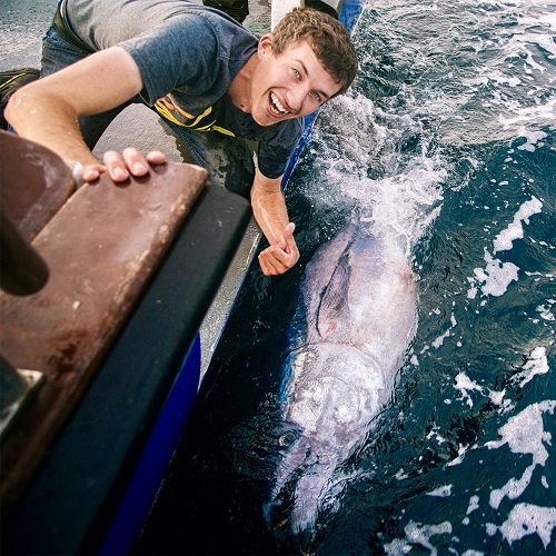 AnglingTrust's tweet image. The 2025 Atlantic Bluefin Tuna season opens TODAY – 18 July!
England’s world-class, permit-only, recreational catch-and-release fishery is back. It’s a huge win for anglers, science, and coastal communities. Remember:
✅ Follow the Code of Conduct
✅ Fish only from licensed…