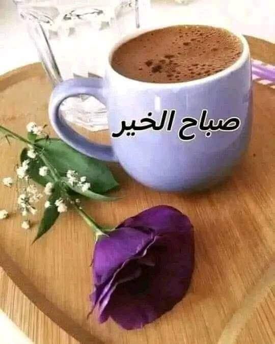 صباح الأشياء المشرقة واللّحظات التي تخلق فينا روح البهجة. . . صباح كرائحة القهوة. . . 
 ☕وألوان الورد المزهره.

صباح الخير 🌹☕