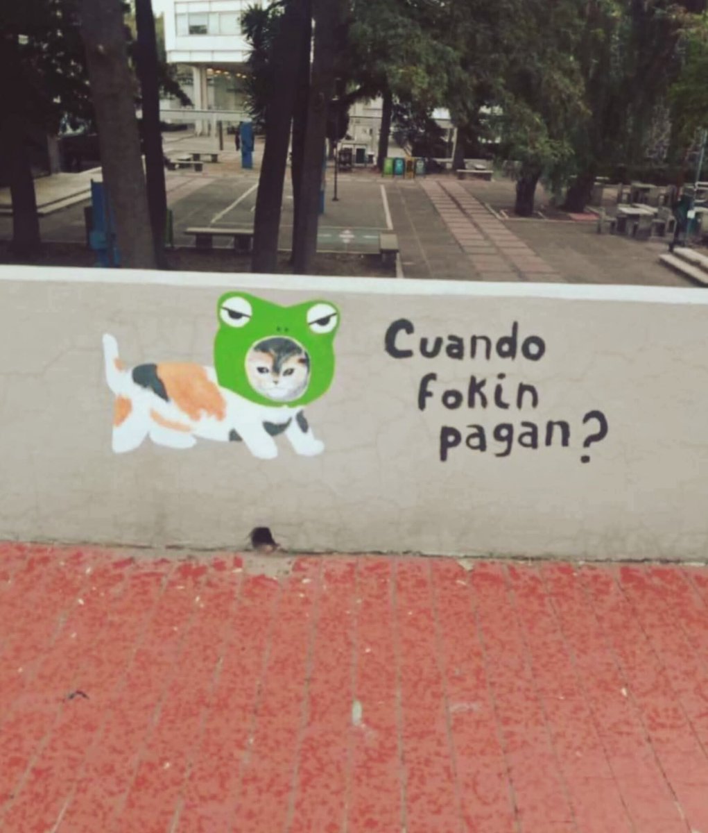 *Me pagan*
Yo al siguiente día: