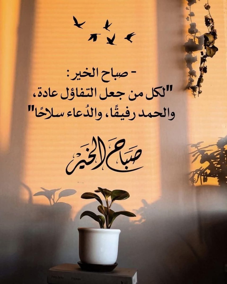 tarq33333's tweet photo. صباح الخير:
لا يُقفل باب إلا وفتح آخر، ولا تفقد شيئًا إلا وكسبت شيئًا في المقابل، لا يوجد خسارة مطلقة، بل توجد تحويلات لمسار الحياة.
#صباح_الخير 
#الجوف
#حائل https://t.co/k9HIaqJQPG
