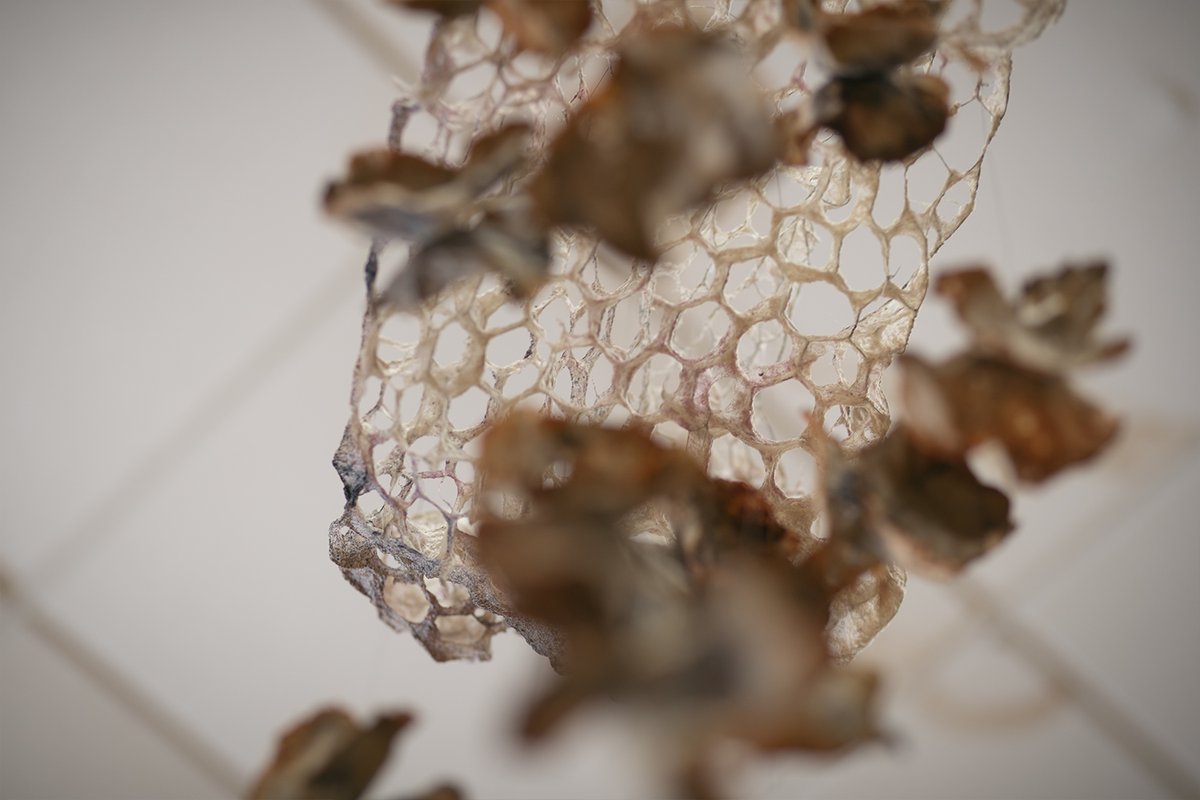 WovenInKirklees's tweet image. Last chance to see: Biophilic Sculptures Exhibition by Isobel Denton (Abitmoreink) alongside young artists from MakerWorld at The Childrens Art School.
Closes tomorrow, 19 July.
Images: Studio Bokehgo