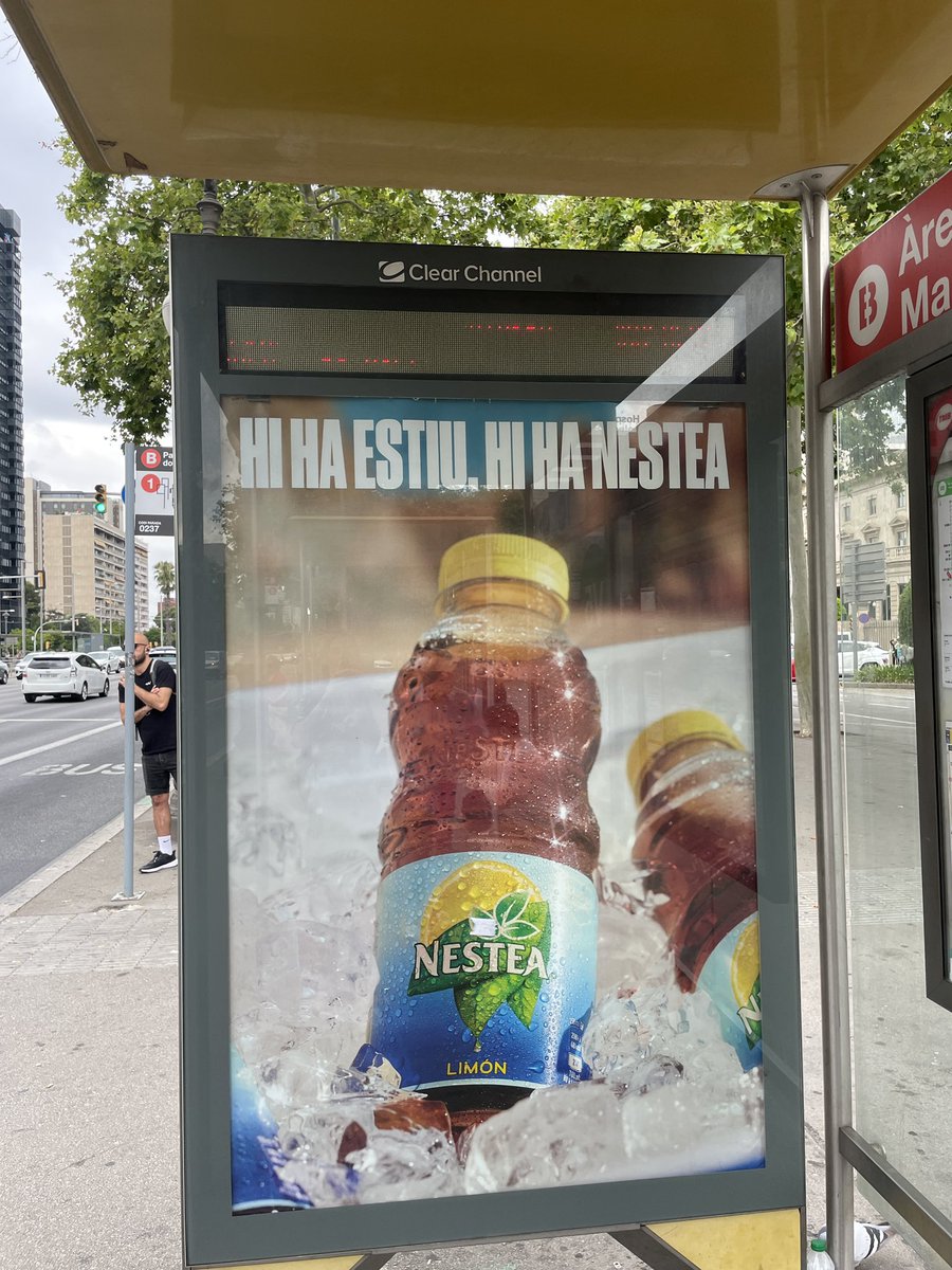 Fernanda Accorsi tweet media