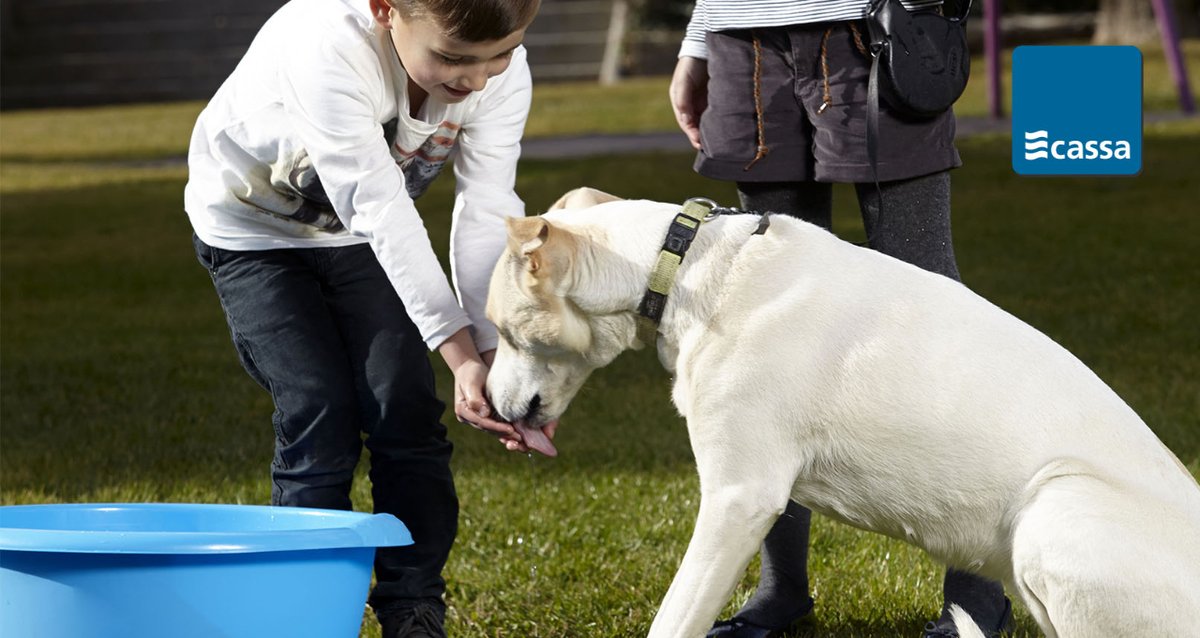 Amb la calor, hidrata't periòdicament i assegura't que els més vulnerables (infants, gent gran i animals de companyia) també estiguin hidratats.

#CASSA