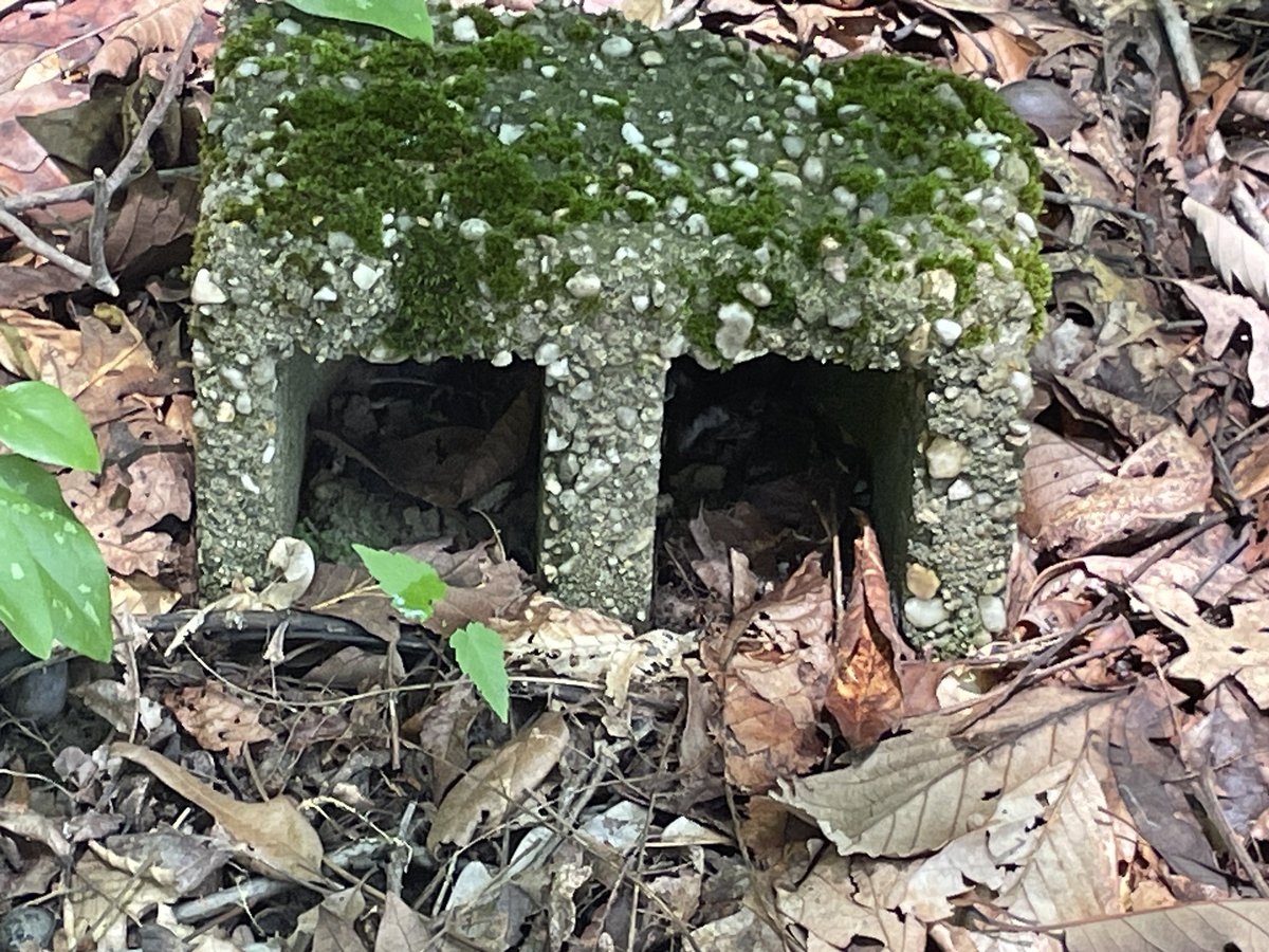 First on 4: 
“Lost memories. Lost souls” Cemetery for boys sent to youth detention in Prince George’s County rediscovered. Now there are efforts to acknowledge and restore the graves and reform the juvenile justice system. nbcwashington.app.link/wSMiPVIr6Ub
