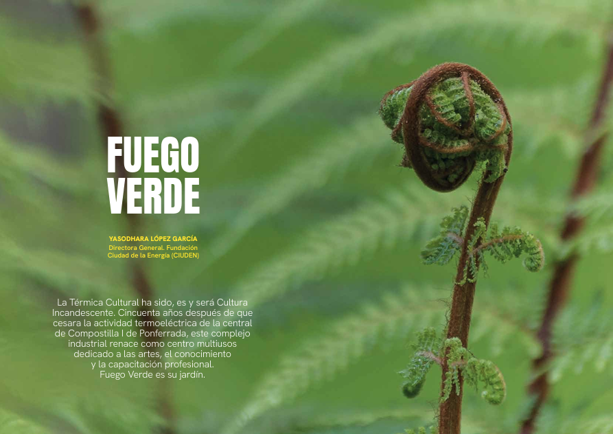 Fundación Ciudad de la Energía (CIUDEN) (@ciuden_es) on Twitter photo 🌿🗞️ 'Fuego Verde', protagonista del nuevo número de la revista 'Ambienta'.
La publicación de <a href="/mitecogob/">Transición Ecológica y Reto Demográfico</a> recoge un artículo de la directora general de <a href="/CIUDEN_ES/">Fundación Ciudad de la Energía (CIUDEN)</a>, <a href="/lopez_yasodhara/">Yasodhara López</a> , sobre el bosque del Carbonífero que alberga <a href="/termicacultural/">La Térmica Cultural</a>.
➡️ revistaambienta.es/content/dam/re… 🌿🗞️ 'Fuego Verde', protagonista del nuevo número de la revista 'Ambienta'.
La publicación de <a href="/mitecogob/">Transición Ecológica y Reto Demográfico</a> recoge un artículo de la directora general de <a href="/CIUDEN_ES/">Fundación Ciudad de la Energía (CIUDEN)</a>, <a href="/lopez_yasodhara/">Yasodhara López</a> , sobre el bosque del Carbonífero que alberga <a href="/termicacultural/">La Térmica Cultural</a>.
➡️ revistaambienta.es/content/dam/re…