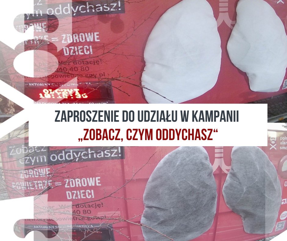 ZAPRASZAMY GMINY DO UDZIAŁU W 7. EDYCJI OGÓLNOPOLSKIEJ KAMPANII „ZOBACZ, CZYM ODDYCHASZ!”

W Polsce nadal działa ok. 1,9 mln przestarzałych, pozaklasowych kotłów. To główne źródło zanieczyszczenia powietrza, które ma realny wpływ na nasze zdrowie. Nitka 👇🧶  1/4