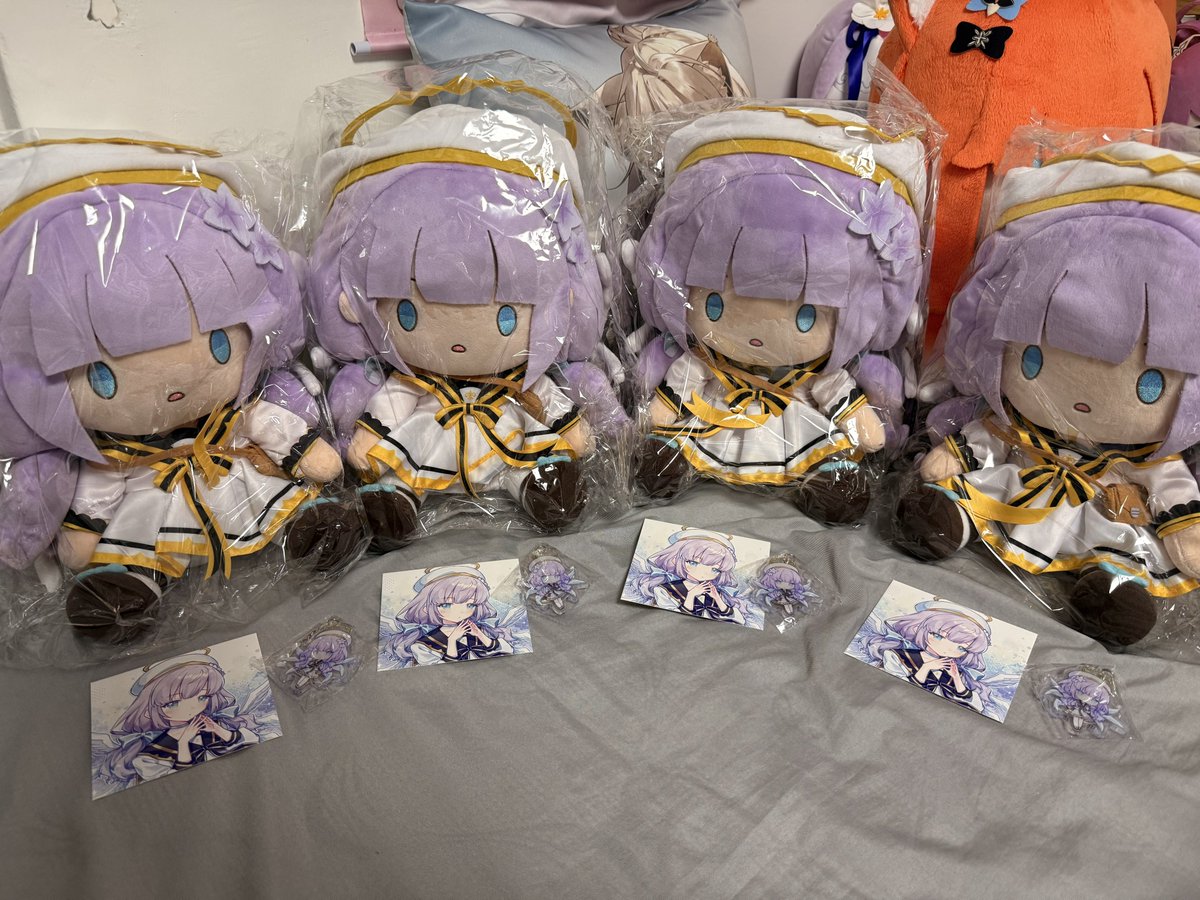 又到了不定時海掏對岸時間
補了些 NS2 用的東西，百合咲娃娃終於到了