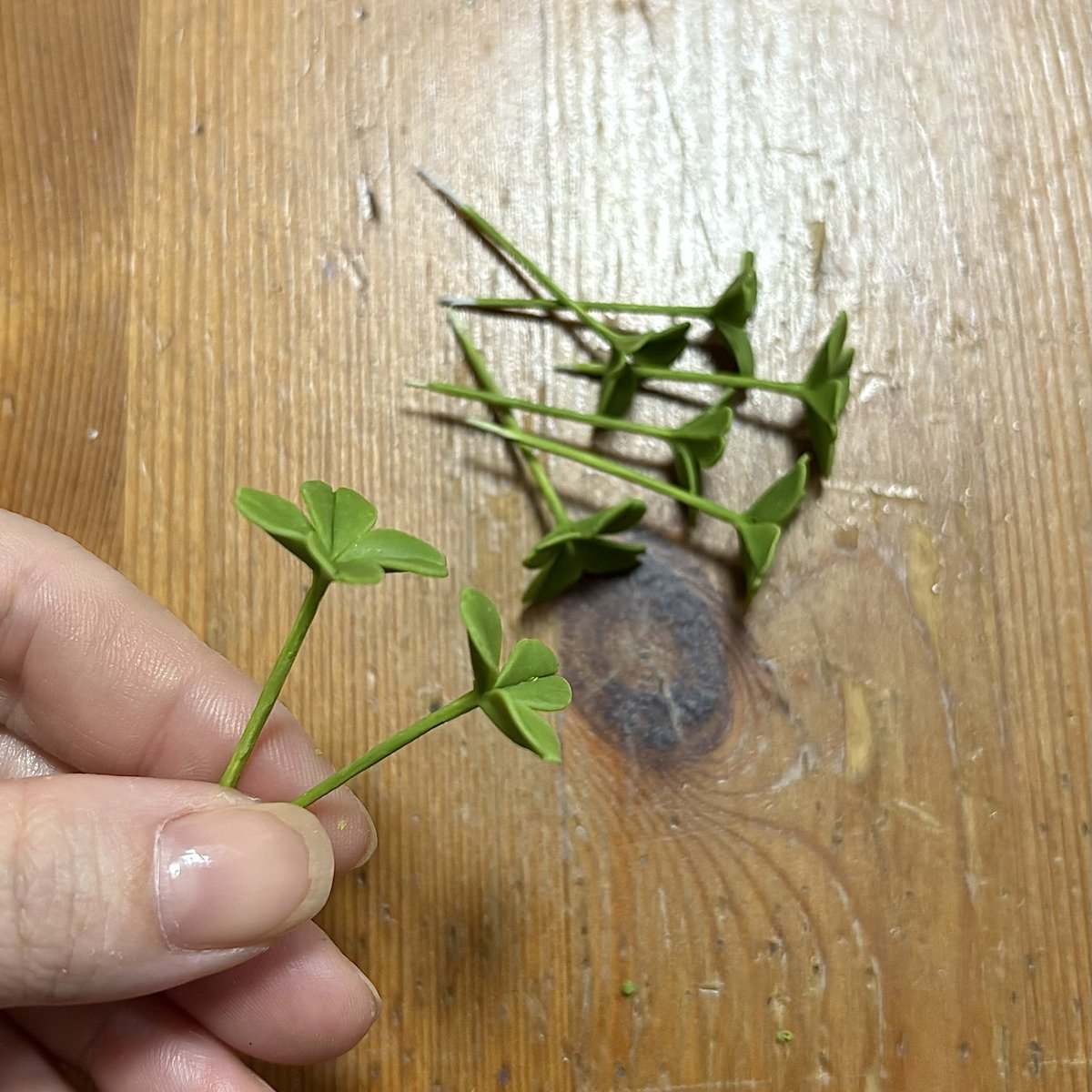 Littlebit_Lb64's tweet image. 葉っぱの茎に粘土のお洋服を着せて✨
紙巻きワイヤーに粘土を巻いて
花にブッ刺すと白詰草も出来上がり✨
ことあと色を塗っていきます🖌️
#マジケン2025in福岡タワー
#本気の自由研究が止まらない
