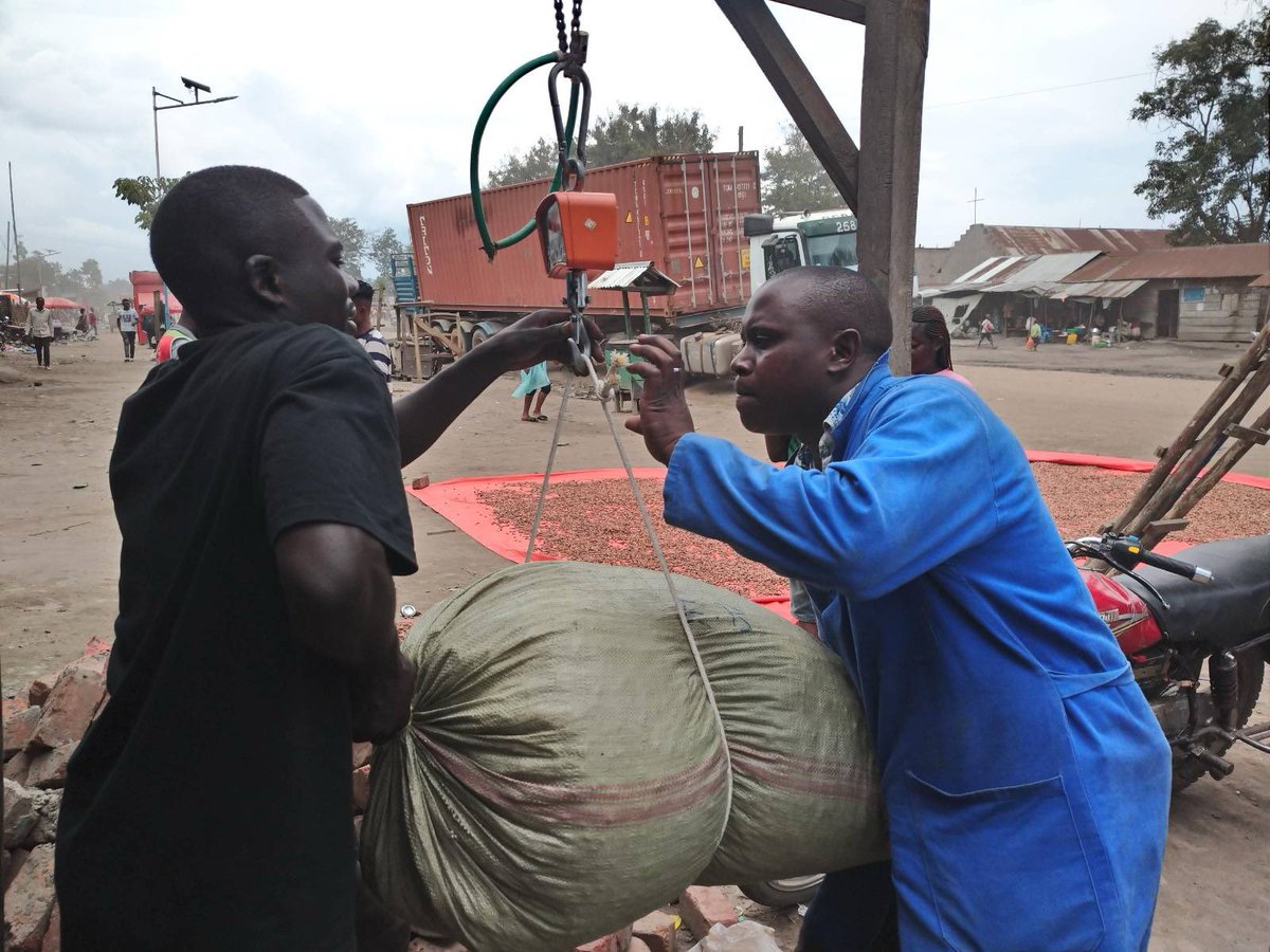 Blood Beans: The illicit cocoa trade fuelling violence at the DR Congo–Uganda border

In this investigation, in partnership with Afrique XXI and Africa Uncensored, we have uncovered a vast cocoa bean trafficking network between eastern DR Congo and Uganda. Involved are the