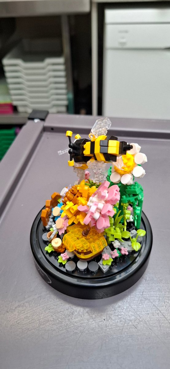 This micro Lego kit was a present from one of our leaving Yr13 lads. It's has required several hours and some dubious taking in vain the name of the student responsible, but now it's done. The dome is on and it now has pride of place in our window.