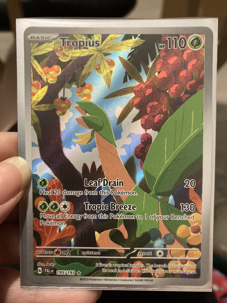 retrokrazy's tweet image. A few days ago I treated myself to a Roaring Moon EX collection box as I hadn’t opened #Pokemon packs in a while. I got 2 illustration rares which was really cool. 😀 One was #Tropius, the other #Garbodor. 😊 I love the jumbo #RoaringMoon card.
#PokemonTCG #PokemonScarletViolet