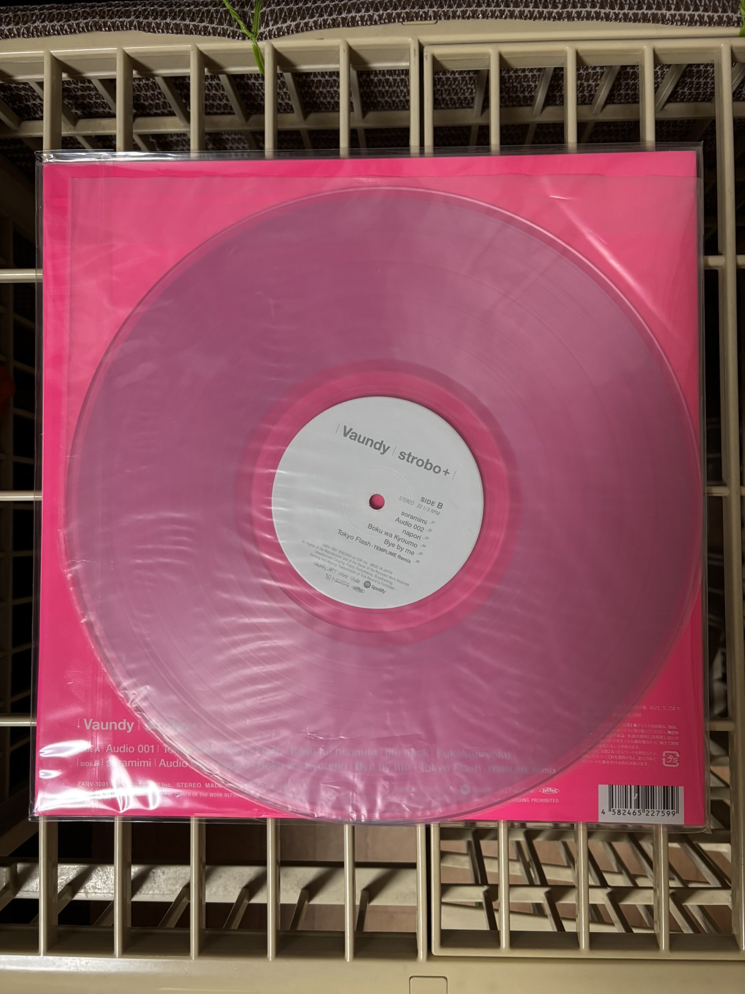 Predawn「手のなかの鳥」限定アナログ盤 レコード PREDAWN / 手のなかの鳥 [LP - FLAKES-028]：JAPANESE：アナログ
