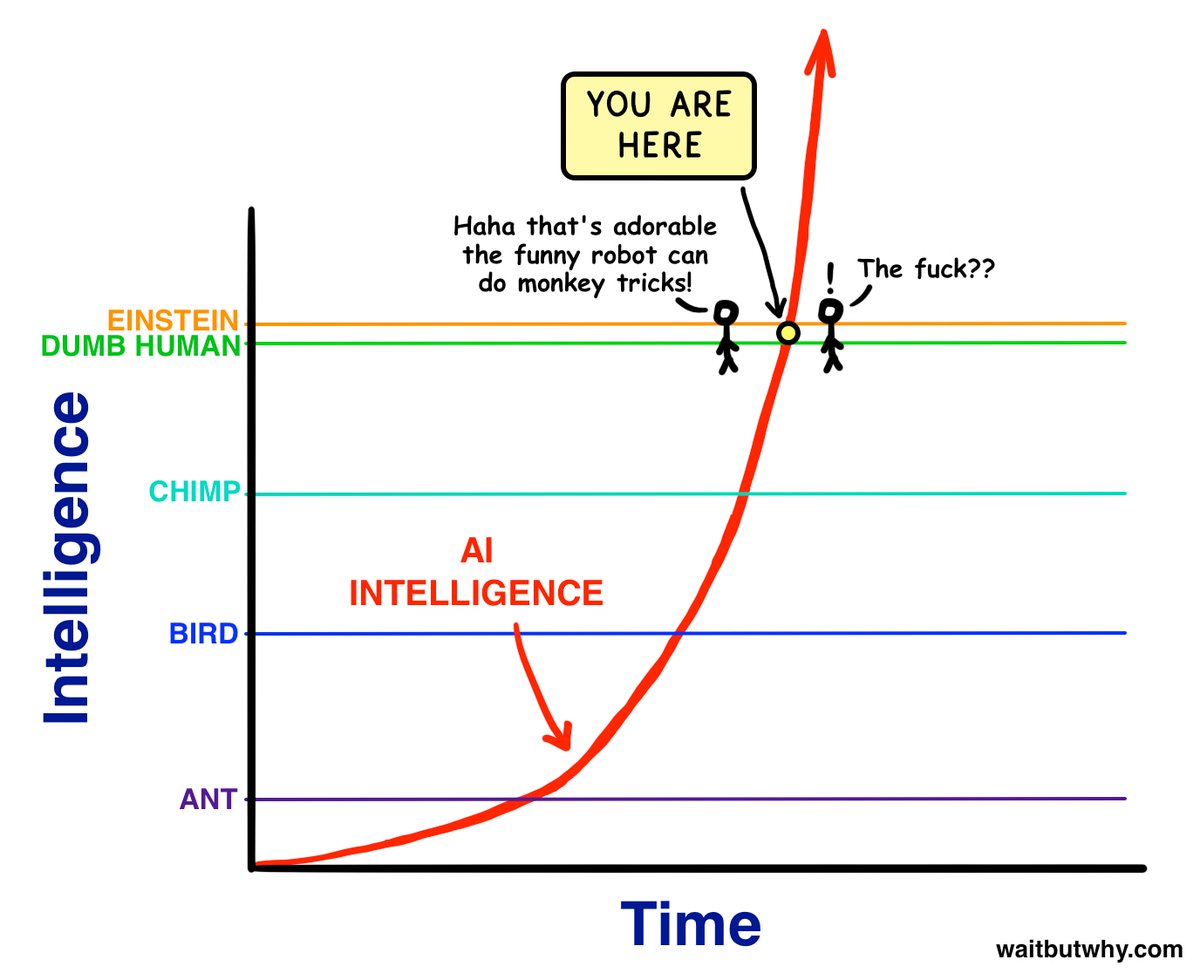 '<a href="/waitbutwhy/">Tim Urban</a>