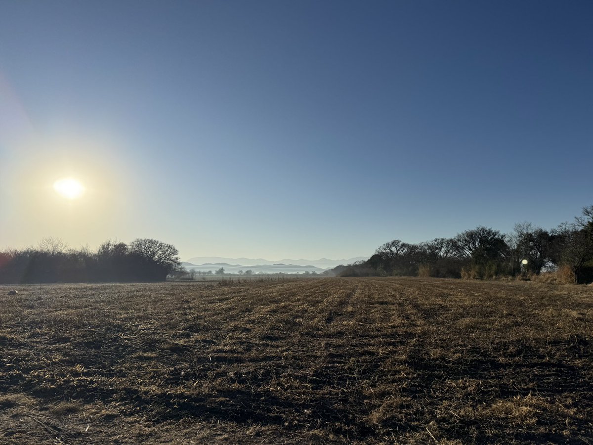 En la oficina pensando un pensamiento