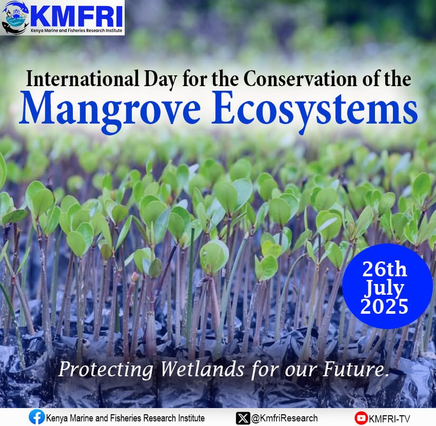 🌿 Countdown to International Mangroves Day—July 26 🌍

Mangroves may look like tangled roots at the edge of the sea, but they are powerhouses of coastal ecosystems.

As we gear up to mark International Mangrove Day, let’s celebrate these vital forests and reflect on their value: