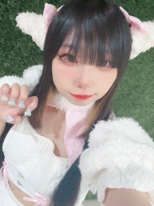 ひつじ屋さんのツイート