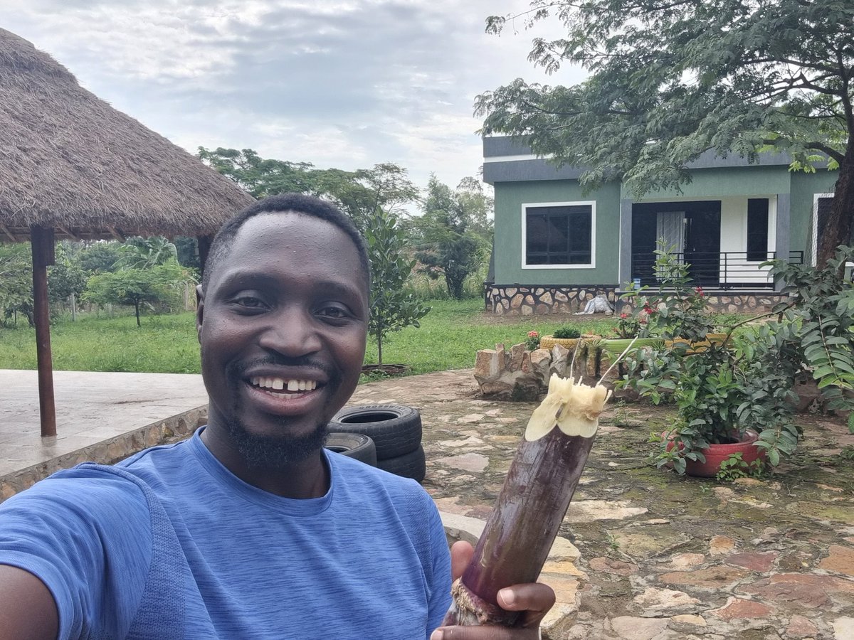 MasabaDaniel's tweet image. From "farm to plate"... or let's say, "Farm to month."
I dare anyone to tell me something better than farmlife!