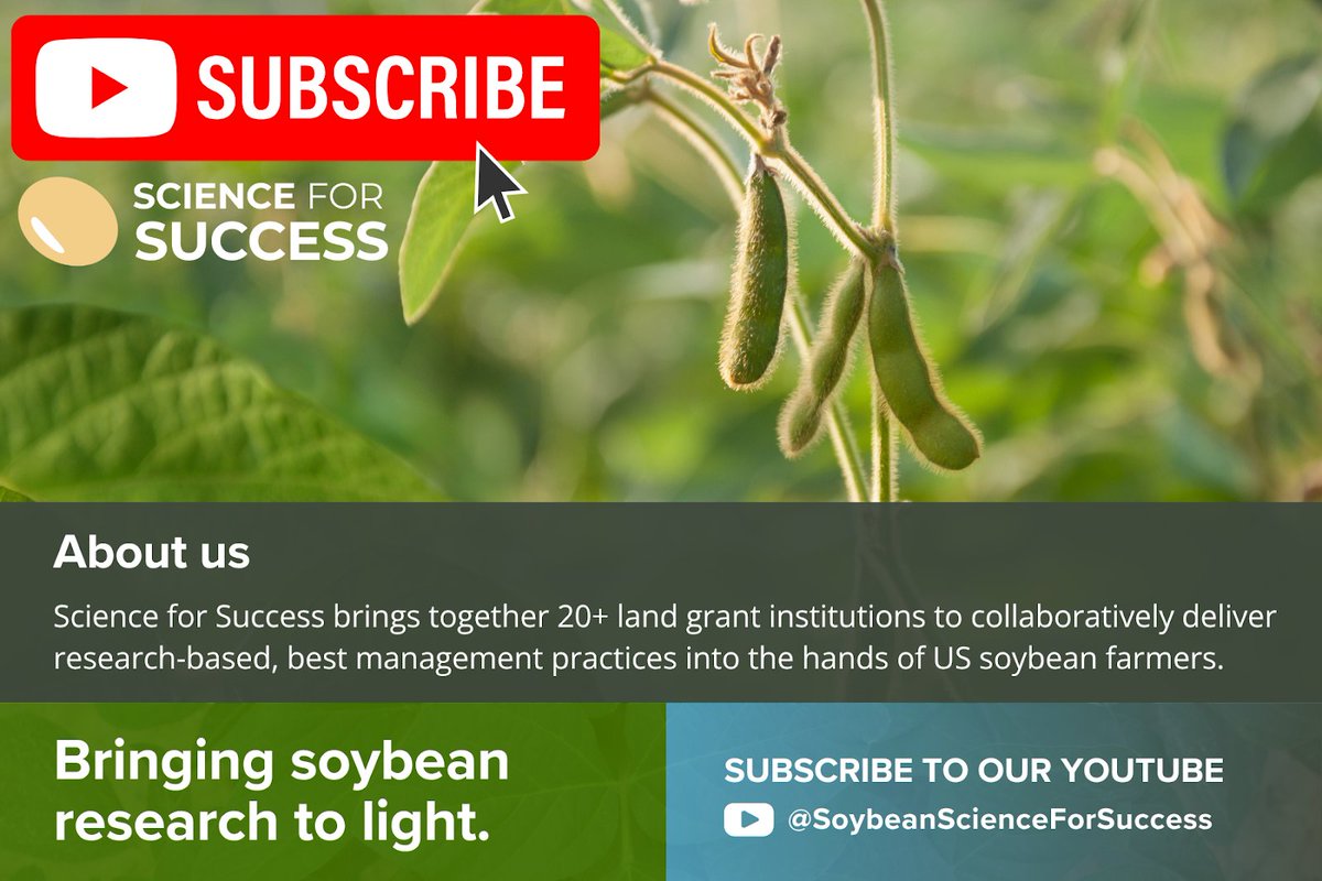 SoybeanScience1's tweet image. Are you subscribed to our YouTube channel? You certainly should be. We post everything from webinars to short-form videos with all of the best management practices for soybean growers across the United States. youtube.com/@SoybeanScienc…