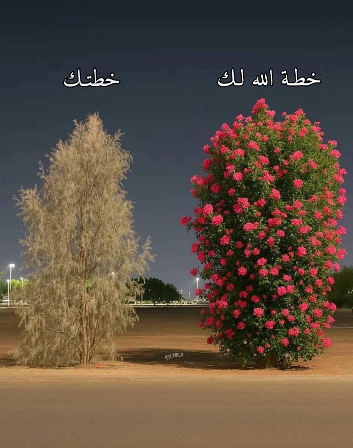 أثَّـــر (@1_nb_0) on Twitter photo 