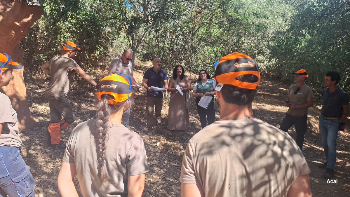 Consejería de Sostenibilidad y Medio Ambiente (@medioamband) on Twitter photo 🪵La <a href="/AndaluciaJunta/">Junta de Andalucía</a> impulsa la sexta Escuela de Corcheros en los montes públicos de #Córdoba.
🧑💼La formación, en el Parque Natural Sierra de Hornachuelos, busca garantizar el relevo generacional en el sector corchero y fomentar el empleo rural.
🔗opgob.es/5fl5v 🪵La <a href="/AndaluciaJunta/">Junta de Andalucía</a> impulsa la sexta Escuela de Corcheros en los montes públicos de #Córdoba.
🧑💼La formación, en el Parque Natural Sierra de Hornachuelos, busca garantizar el relevo generacional en el sector corchero y fomentar el empleo rural.
🔗opgob.es/5fl5v