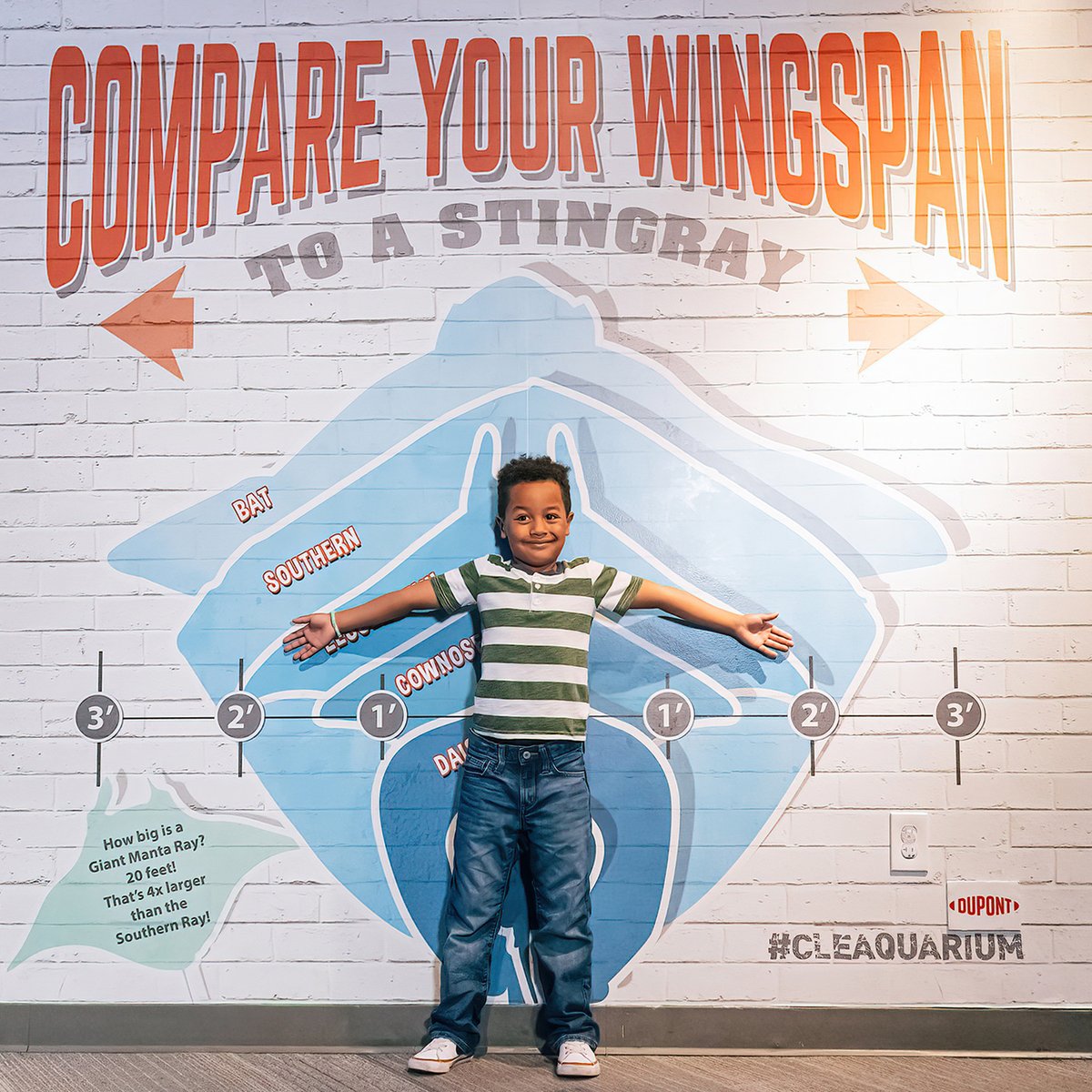 cleaquarium's tweet image. Come down for #clefinfest and learn how you compare to the wingspan of a stingray!
Our monthlong celebration of sharks and stingrays goes now - August 5. #cleaquarium #natureiscurious
