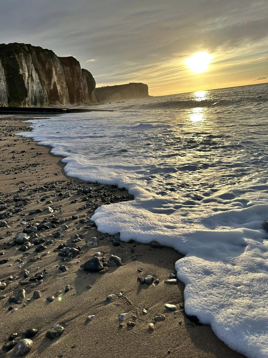 HomeExchange ES tweet media