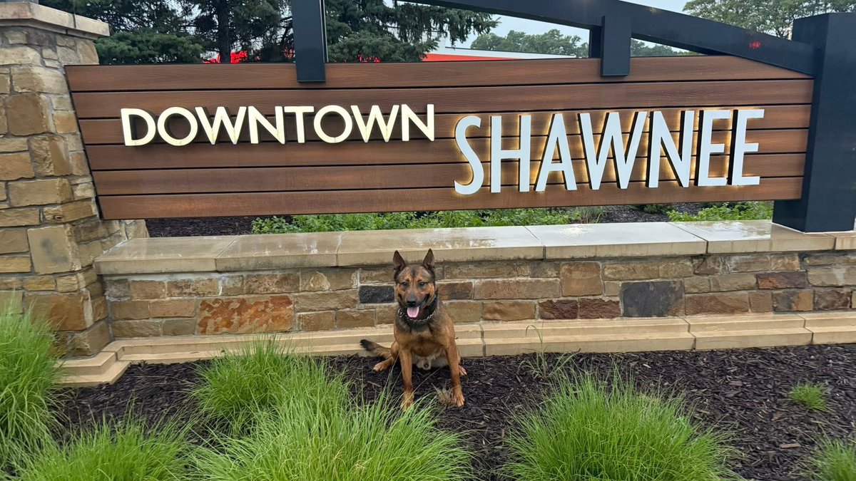 shawneeKSpolice's tweet image. Please join us in wishing K9 Dagger a happy 4th birthday! Dagger joined the Shawnee Police Department K9 Unit in May 2023.