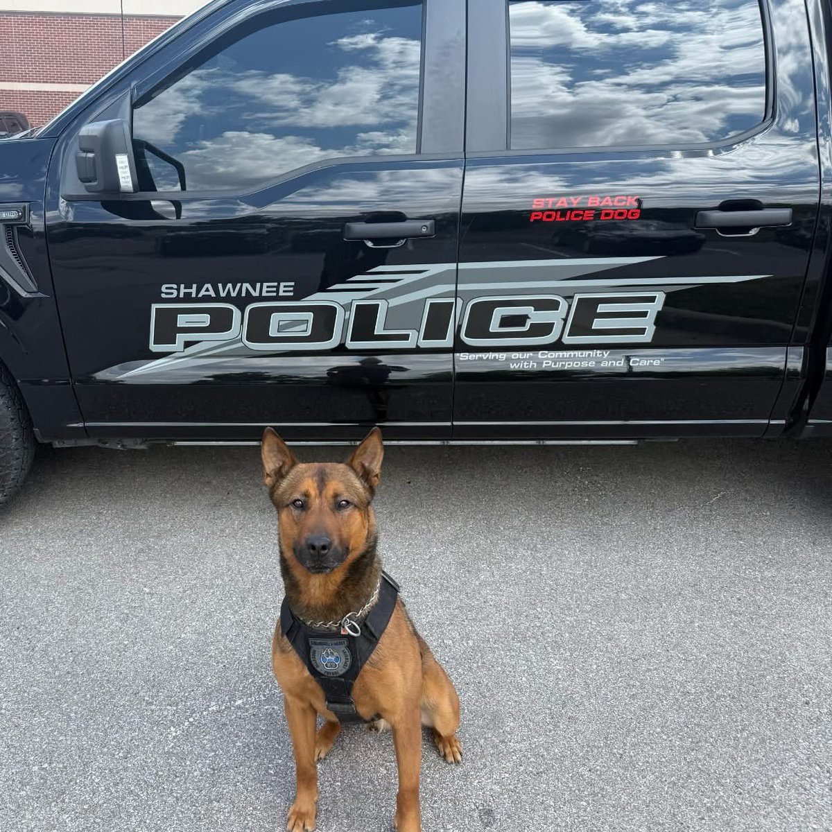 shawneeKSpolice's tweet image. Please join us in wishing K9 Dagger a happy 4th birthday! Dagger joined the Shawnee Police Department K9 Unit in May 2023.