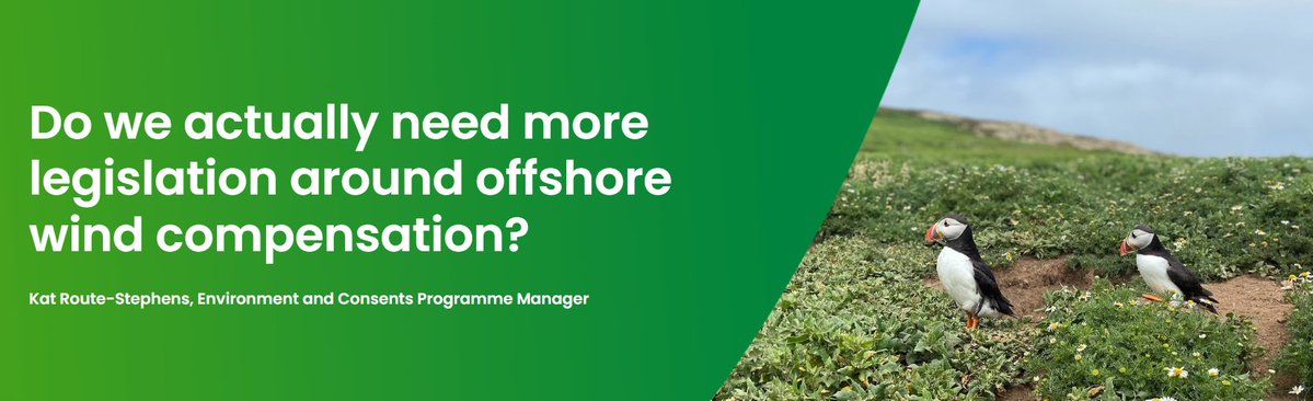 RenewableUK's tweet image. Do we actually need more legislation around offshore wind compensation⁉️
The short answer is yes, we do. But the current approach to delivering environmental compensation is neither good for nature nor offshore wind. We therefore very much welcome imminent plans by @DefraGovUK…