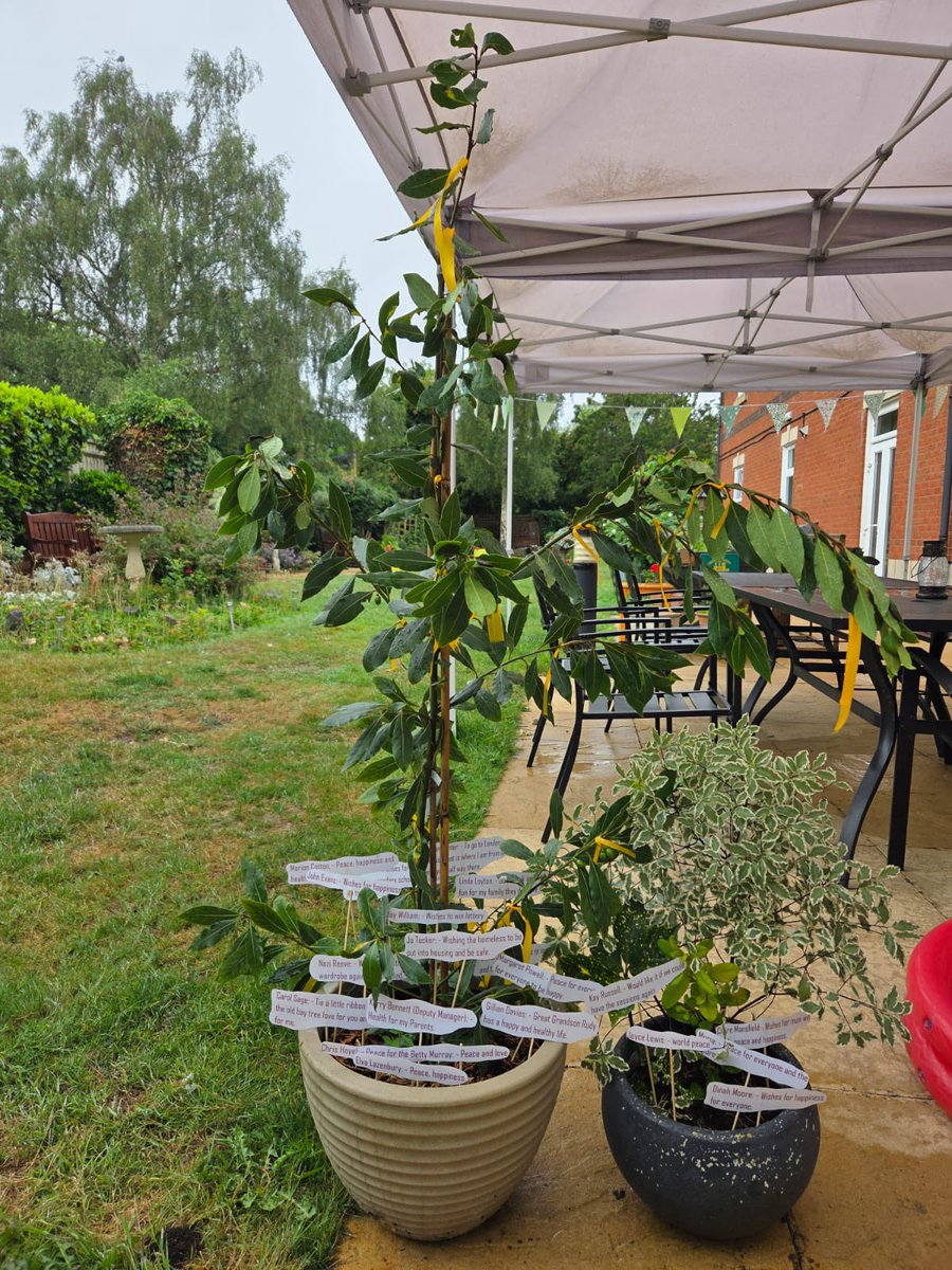 Bristolcarehome's tweet image. 🌳💛 The Wish Tree at Beech House 💛🌳

Our beautiful Wish Tree is now up in the garden, surrounded by the hopes and dreams of our lovely residents, all lovingly placed at its base. 💫🌟

#BeechHouse #WishTree #TogetherAsFamily #HomeFromHome #MakingWishes #CommunitySpirit