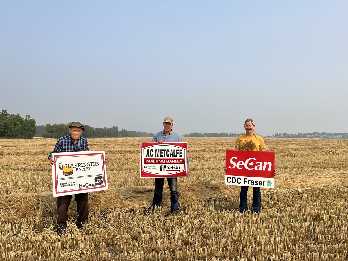 We had a very special visitor to our <a href="/SeCan/">SeCan</a> <a href="/AginMotion/">Ag in Motion</a> site. 94 year old Ed Seidle- LONG time seed grower &amp; 1 of the OG SeCan members! Still teaching us about barley 😊 Great job <a href="/MackenzieSeidle/">mackenzie seidle</a> for making this happen! #ItsInOurGenes #AIM25 <a href="/CamSeidle/">Seidle Seed Farm</a> <a href="/Seedgrowers/">CSGA / ACPS</a> <a href="/saskseed/">@saskseed</a>