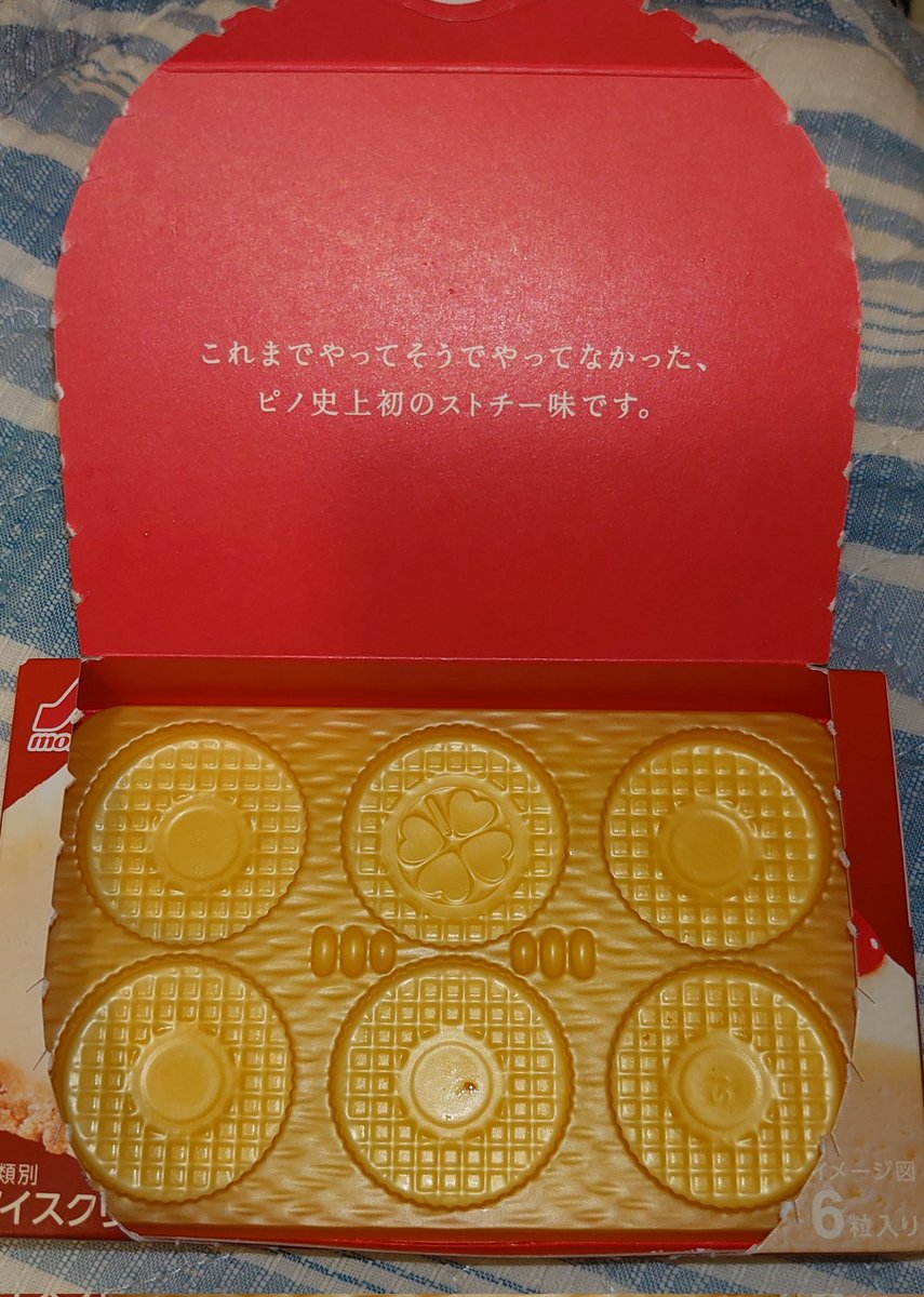 DctDec8's tweet photo. 四つ葉のクローバーいた🍀 https://t.co/iZfX2NIFU8