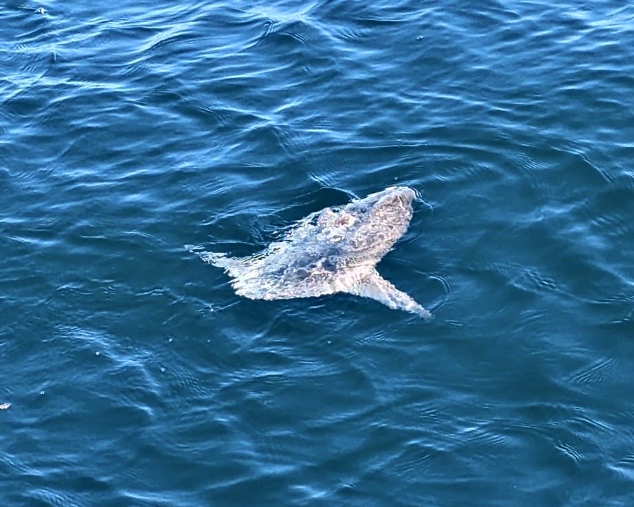 Geneviève HéryArnaud tweet media