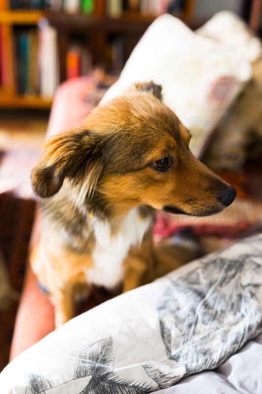 Errieda du Toit tweet media