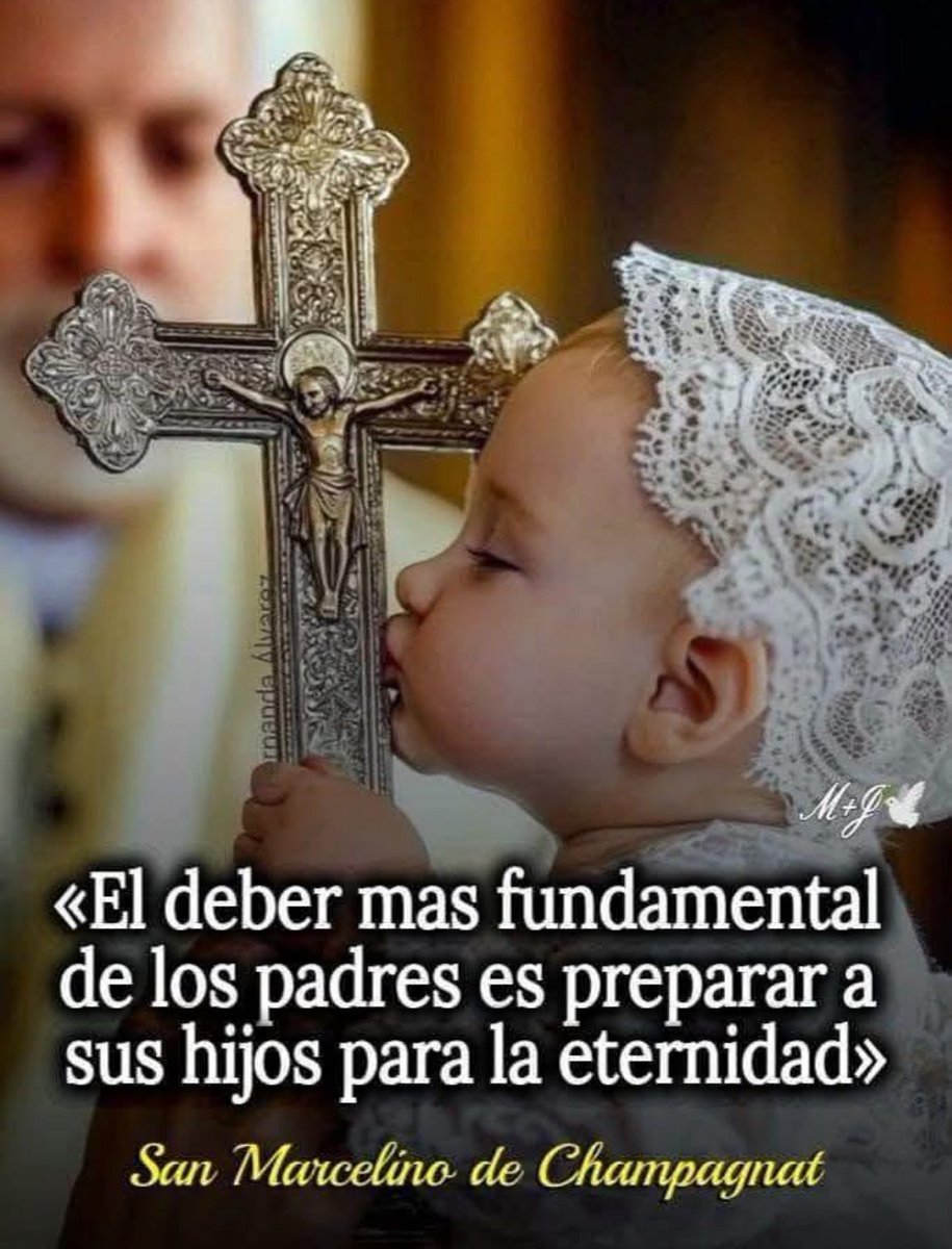 Padre Israel (@padreisrael) on Twitter photo 