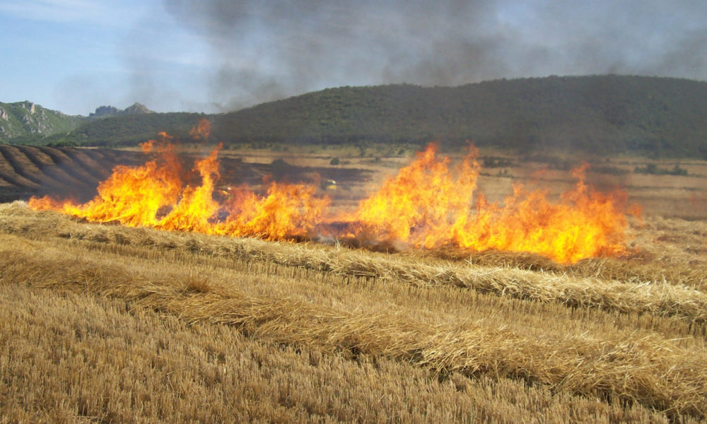🚫🔥 Atención Villalbilla 🔥🚫
Hoy, 18 de julio, de 15:00 a 23:59 h, queda suspendido el uso del fuego y maquinaria que genere chispas en zonas forestales y 400 m a su alrededor.
🔺 Medida preventiva ante riesgo extremo de incendios.
 gestiona.comunidad.madrid/csv 
#Villalbilla