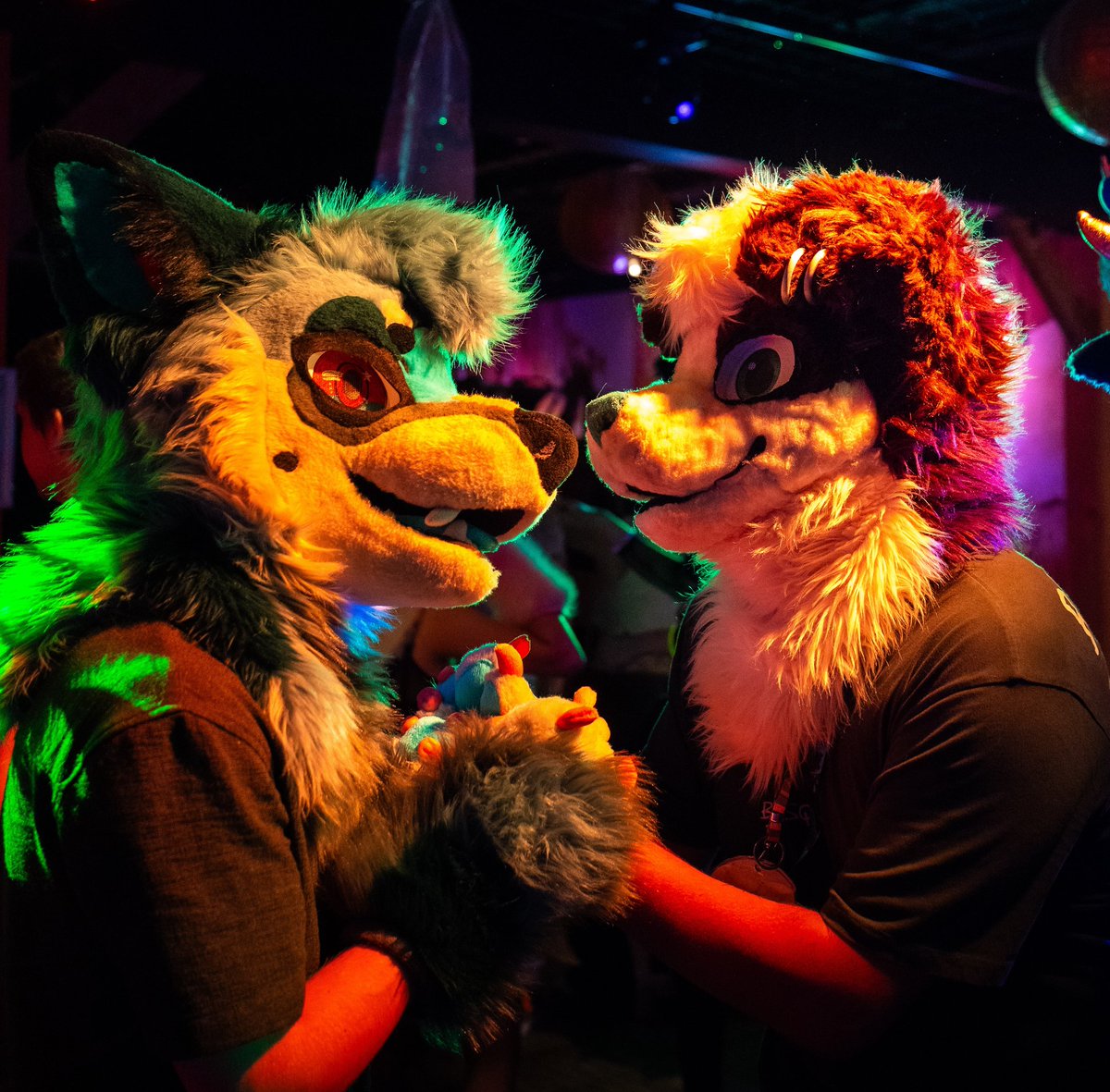 🎵 Lay all your love on me~ 🎶

📸: <a href="/RenziWolf/">Renzi Wolf</a> 
#FursuitFriday #furgroove