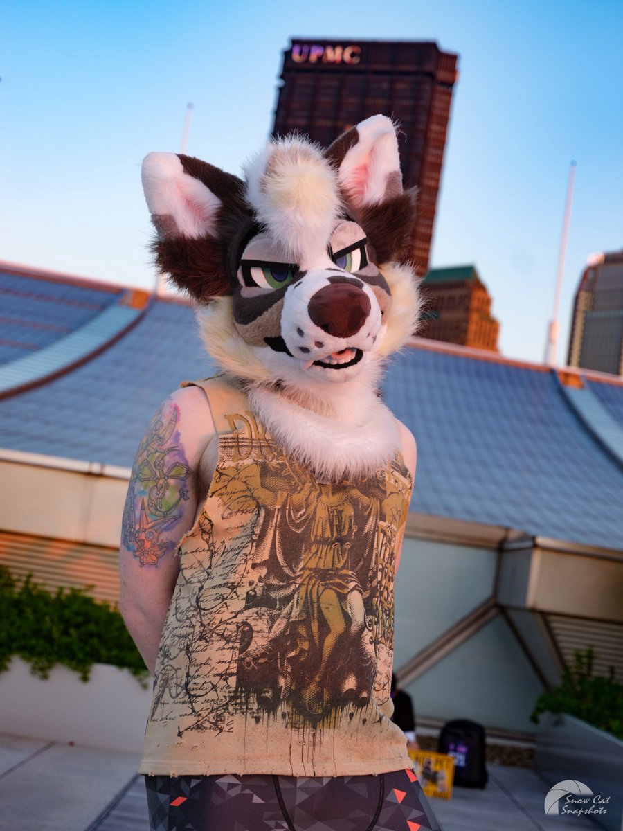 FIND ME AT LFM ON THE BOAT AND AT THE SUMMER PARTY 
(friday and saturday) 
This fox is all the way from Indiana to London 👀
Bark Bark Bark ‼️‼️‼️

📸 <a href="/HeliosSnowCat/">Helios</a>