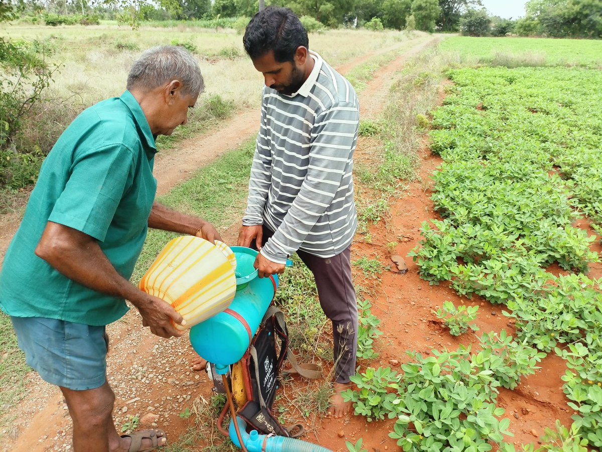 IFFCO Tamil Nadu (@iffco_tn) on Twitter photo #Cropdemonstration #Erode роХрпКро│роирпНродрокро╛ро│рпИропроорпН роХро┐ро░ро╛роородрпНродро┐ро▓рпН #IFFCO роХро│ роЕродро┐роХро╛ро░ро┐ропро╛ро▓рпН ро╡рпЗро░рпНроХрпНроХроЯро▓рпИропро┐ро▓рпН роТро░рпБ ро▓ро┐роЯрпНроЯро░рпН роирпАро░ро┐ро▓рпН 5 рооро┐.ро▓ро┐. #NanoDAP #Sagarika родро┐ро░ро╡ роЙро░роЩрпНроХро│рпИ роХро▓роирпНродрпБ роЗро▓рпИро╡ро┤ро┐родрпНродрпЖро│ро┐рокрпНрокрпБ роЪрпЖропро▓рпНроорпБро▒рпИ ро╡ро┐ро│роХрпНроХродрпНродро┐роЯро▓рпН роЕро│ро┐роХрпНроХрокрпНрокроЯрпНроЯродрпБ. роорпЗро▓рпБроорпН рокропройрпНрокроЯрпБродрпНродрпБроорпН роорпБро▒рпИ рооро▒рпНро▒рпБроорпН роиройрпНроорпИроХро│рпН роХрпБро▒ро┐родрпНродрпБроорпН #Cropdemonstration #Erode роХрпКро│роирпНродрокро╛ро│рпИропроорпН роХро┐ро░ро╛роородрпНродро┐ро▓рпН #IFFCO роХро│ роЕродро┐роХро╛ро░ро┐ропро╛ро▓рпН ро╡рпЗро░рпНроХрпНроХроЯро▓рпИропро┐ро▓рпН роТро░рпБ ро▓ро┐роЯрпНроЯро░рпН роирпАро░ро┐ро▓рпН 5 рооро┐.ро▓ро┐. #NanoDAP #Sagarika родро┐ро░ро╡ роЙро░роЩрпНроХро│рпИ роХро▓роирпНродрпБ роЗро▓рпИро╡ро┤ро┐родрпНродрпЖро│ро┐рокрпНрокрпБ роЪрпЖропро▓рпНроорпБро▒рпИ ро╡ро┐ро│роХрпНроХродрпНродро┐роЯро▓рпН роЕро│ро┐роХрпНроХрокрпНрокроЯрпНроЯродрпБ. роорпЗро▓рпБроорпН рокропройрпНрокроЯрпБродрпНродрпБроорпН роорпБро▒рпИ рооро▒рпНро▒рпБроорпН роиройрпНроорпИроХро│рпН роХрпБро▒ро┐родрпНродрпБроорпН