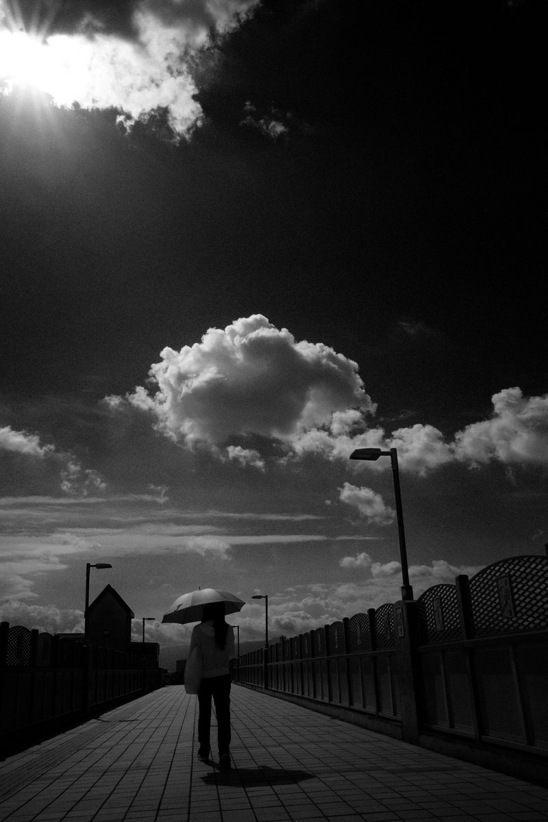 Samechan__17's tweet image. 優しい時間 2025 No194
Gentle Time
#優しい時間
#gentletime
#gr3
#モノクロ写真
#blackandwhitephotography
#白黒写真
#monochromephotography
#写真が好きな人と繋がりたい