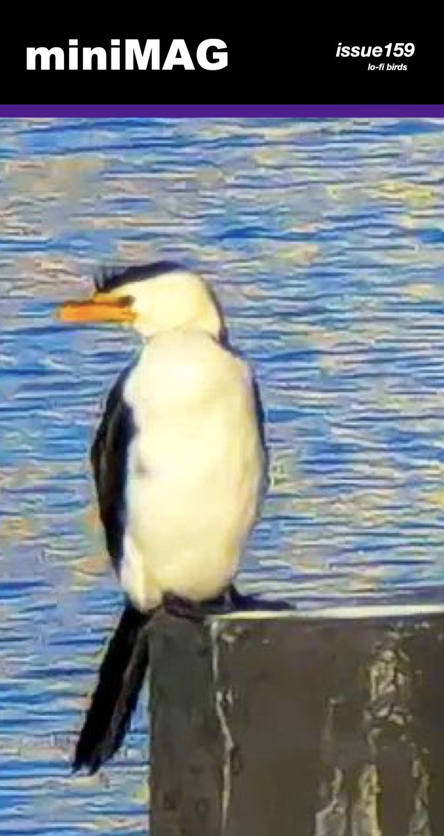 lo-fi birds
issue159
photography by Lewis Woolston
featuring <a href="/sahiravik/">Sahir.</a>