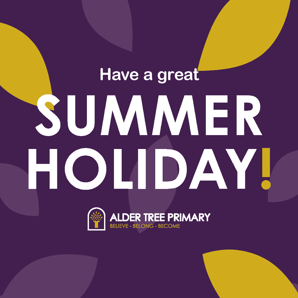 Alder Tree Primary tweet media