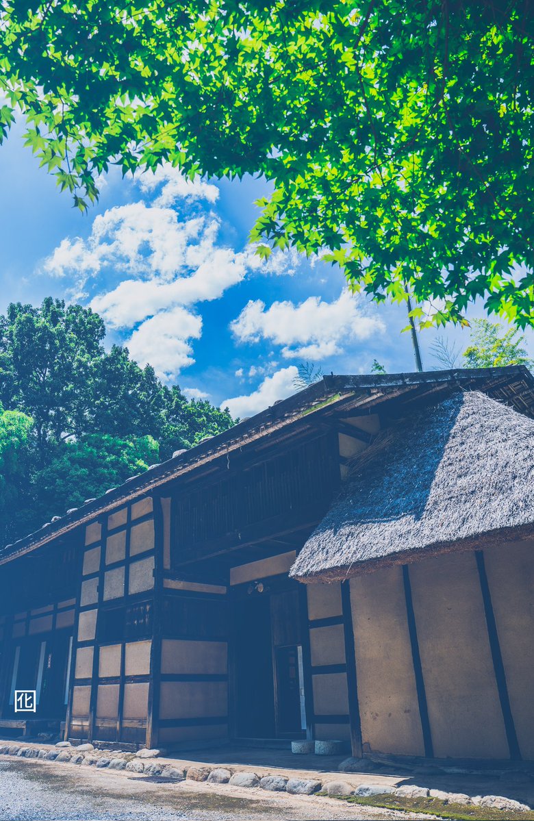 kasyan0com's tweet image. 夏の旧新井家住宅が美しい
