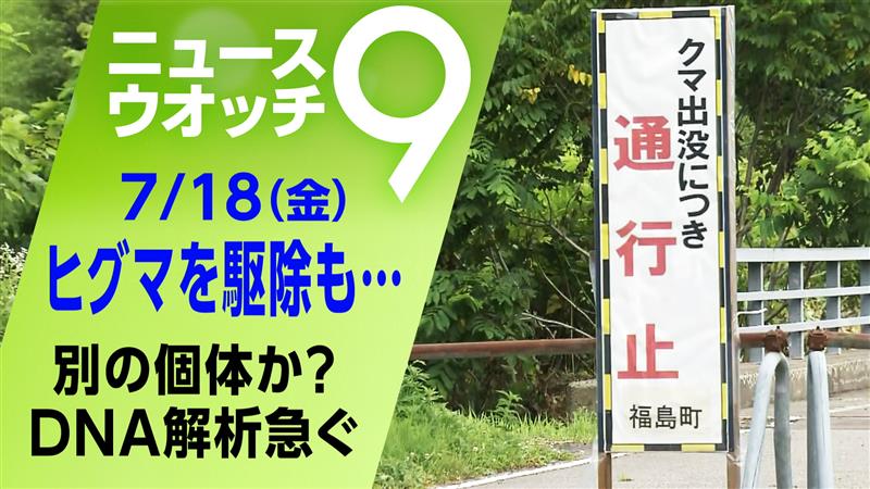 nhk_nw9's tweet image. 北海道でヒグマ1頭駆除も
男性襲った個体とは別の可能性
一方 男性が襲われた現場付近で
採取された体毛を鑑定したところ…
4年前に女性を襲い死亡させたクマと
DNA型が一致したことが判明
いったい何が☟
plus.nhk.jp/watch/st/g1_20…
#ニュースウオッチ9