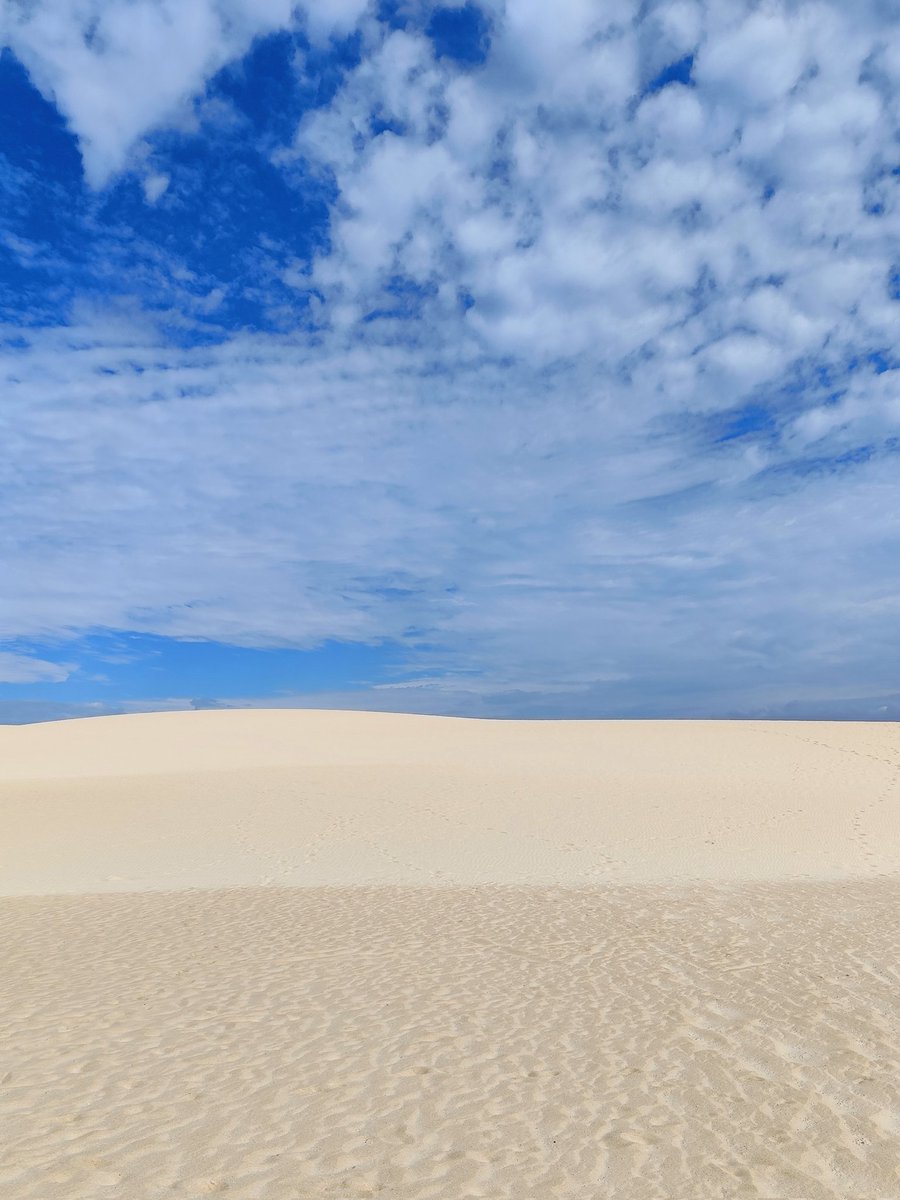 _hello_im_j's tweet image. 🌊☀️🐚