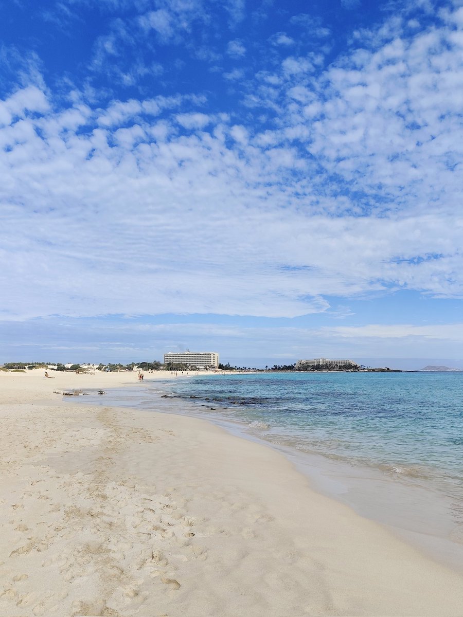_hello_im_j's tweet image. 🌊☀️🐚