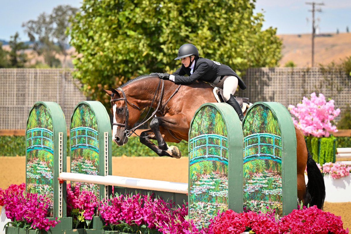 Bruce, a performance #horse, received #VetStem Cell Therapy for tendon and navicular bursae injuries. #Stemcelltherapy helped Bruce return to the show pen. Read his story in this week's blog. #stemcells #regenerativemedicine #veterinary #equinemedicine
blog.vetstem.com/back-in-the-ar…